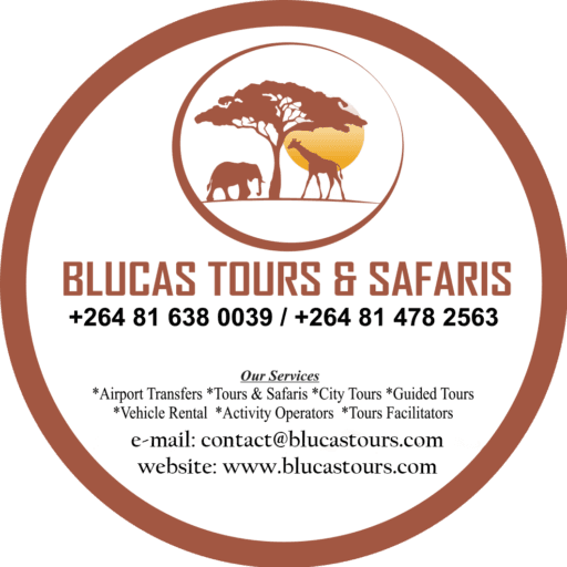 Logo : Blucas Tours